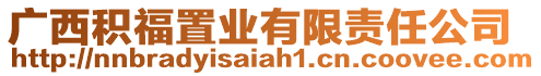廣西積福置業有限責任公司
