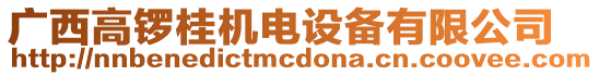 廣西高鑼桂機電設備有限公司