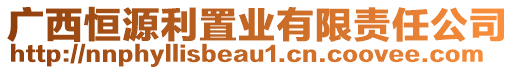 廣西恒源利置業(yè)有限責(zé)任公司