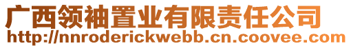 廣西領(lǐng)袖置業(yè)有限責(zé)任公司