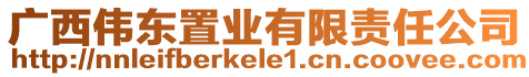 廣西偉東置業(yè)有限責(zé)任公司