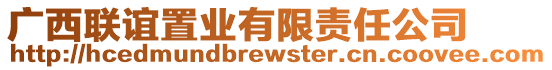 廣西聯(lián)誼置業(yè)有限責任公司