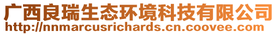 廣西良瑞生態環境科技有限公司