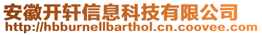 安徽開軒信息科技有限公司