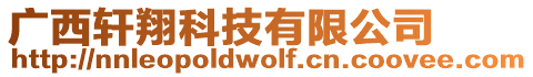 廣西軒翔科技有限公司