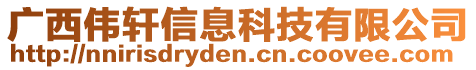 廣西偉軒信息科技有限公司