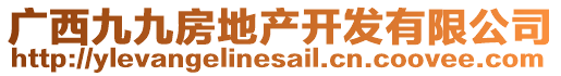 廣西九九房地產(chǎn)開發(fā)有限公司