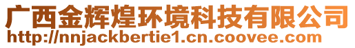 广西金辉煌环境科技有限公司