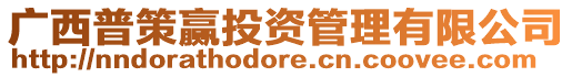 廣西普策贏投資管理有限公司