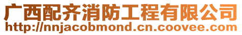 廣西配齊消防工程有限公司