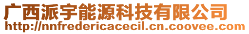 廣西派宇能源科技有限公司
