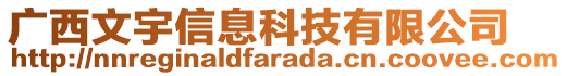 廣西文宇信息科技有限公司