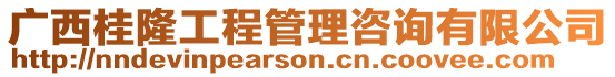 廣西桂隆工程管理咨詢有限公司