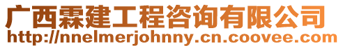 廣西霖建工程咨詢有限公司
