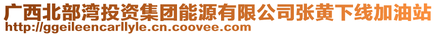 廣西北部灣投資集團(tuán)能源有限公司張黃下線加油站