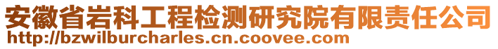 安徽省巖科工程檢測(cè)研究院有限責(zé)任公司