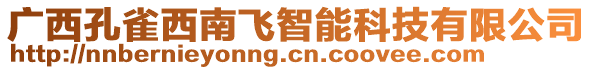 廣西孔雀西南飛智能科技有限公司