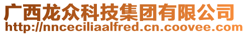廣西龍眾科技集團(tuán)有限公司
