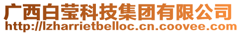 廣西白瑩科技集團(tuán)有限公司