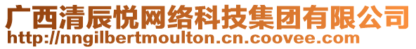 廣西清辰悅網(wǎng)絡(luò)科技集團(tuán)有限公司