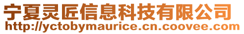 寧夏靈匠信息科技有限公司