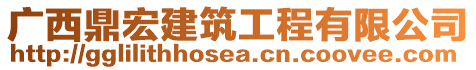 廣西鼎宏建筑工程有限公司