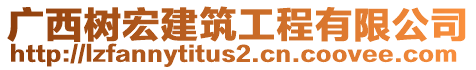 廣西樹宏建筑工程有限公司