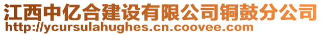 江西中億合建設有限公司銅鼓分公司