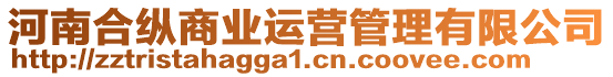 河南合縱商業(yè)運(yùn)營(yíng)管理有限公司