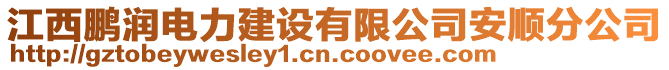 江西鵬潤電力建設(shè)有限公司安順分公司