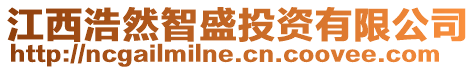 江西浩然智盛投資有限公司