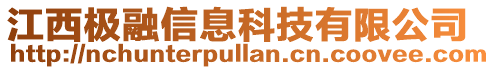 江西極融信息科技有限公司