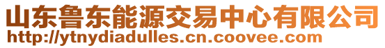 山東魯東能源交易中心有限公司