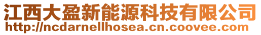 江西大盈新能源科技有限公司