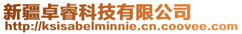新疆卓睿科技有限公司
