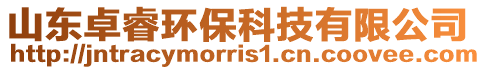 山東卓睿環(huán)保科技有限公司