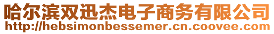 哈爾濱雙迅杰電子商務(wù)有限公司