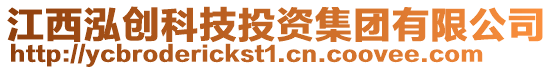 江西泓創科技投資集團有限公司