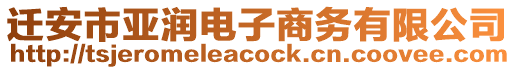 遷安市亞潤電子商務(wù)有限公司