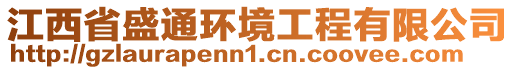 江西省盛通環(huán)境工程有限公司