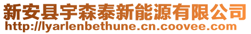 新安縣宇森泰新能源有限公司