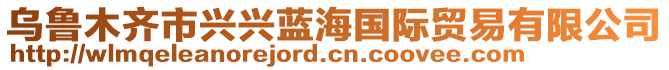 烏魯木齊市興興藍(lán)海國際貿(mào)易有限公司