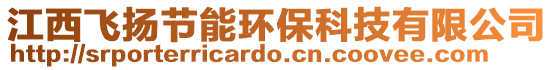 江西飛揚節(jié)能環(huán)保科技有限公司