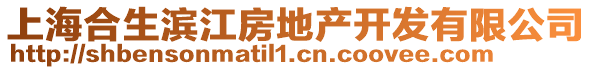上海合生濱江房地產(chǎn)開發(fā)有限公司
