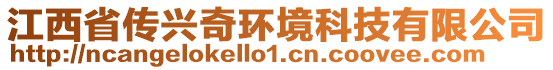 江西省傳興奇環(huán)境科技有限公司