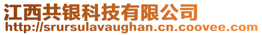 江西共銀科技有限公司