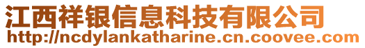 江西祥銀信息科技有限公司