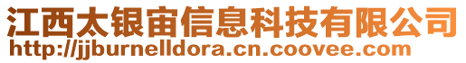 江西太銀宙信息科技有限公司