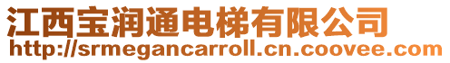 江西寶潤通電梯有限公司