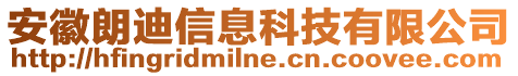 安徽朗迪信息科技有限公司